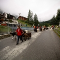 Pro-ekologiczne Zermatt :)