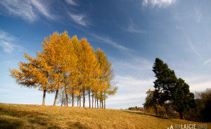 Bieszczady 2011