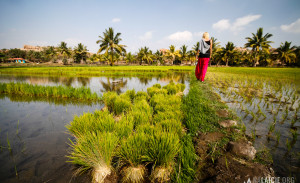 Hampi