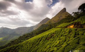 Kerala